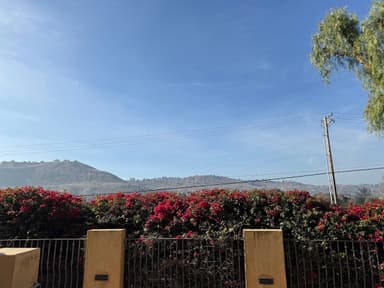 Photo of Mayge Lee, Pa-C